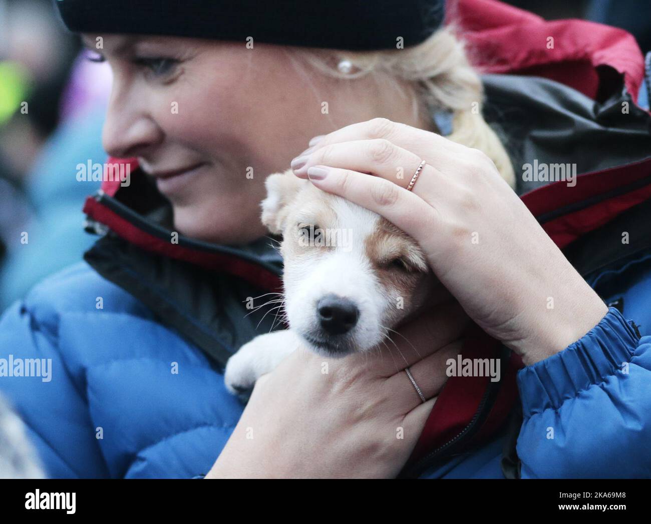 Oslo, Norway 20150113. The Royal Crown Prince Couple visit Toyenparken in Oslo on Tuesday for the opening of the Outdoor Recreation Year 2015 (Friluftlivets aar). 1600 children an youth attended the opening. Here puppy 'Toeffen' owned by mayor Fabian Stang receives the royal touch of the Crown Princess Mette-Marit. Photo: Lise Aaserud / NTB scanpix  Stock Photo