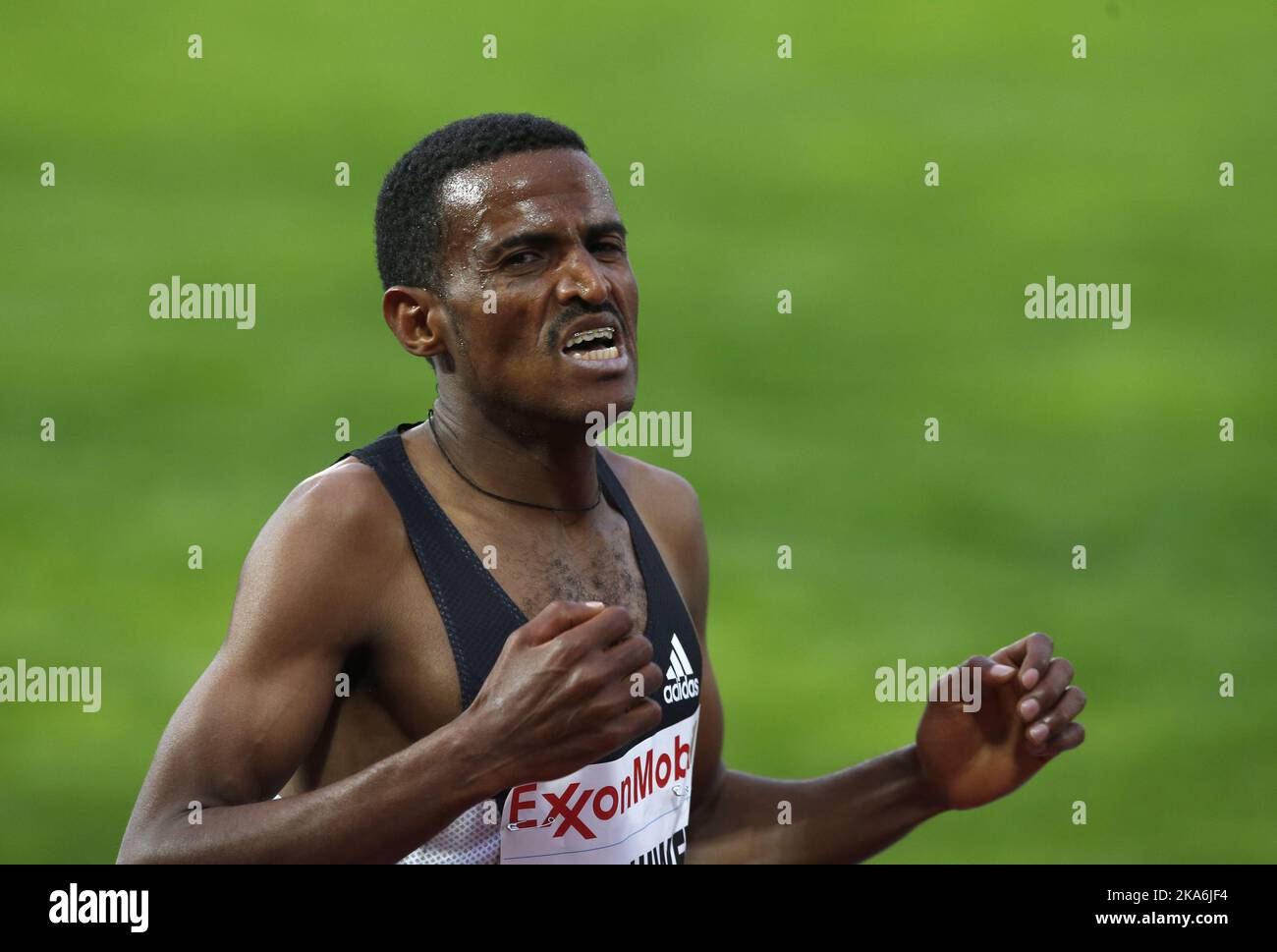 20160609 hires stock photography and images Alamy