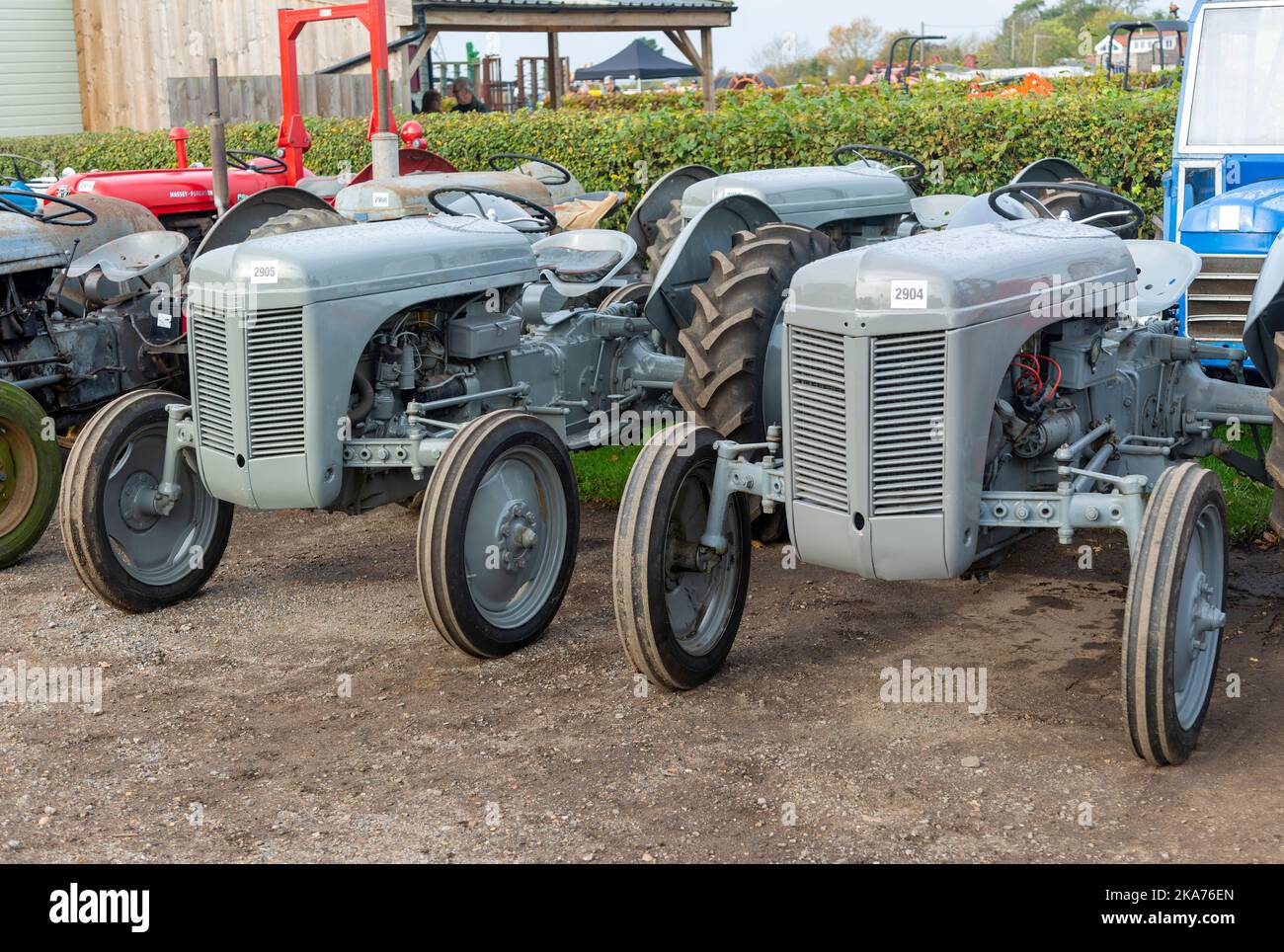 Grey Ferguson vintage tractors on display at auction sale, Campse Ashe