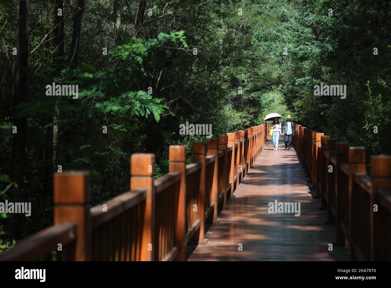 Maiji mountain scenic area hi-res stock photography and images - Alamy