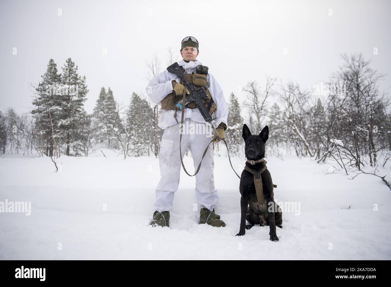 Kirkenes 20220224. The soldier Jostein BjÃ¸rvik (Bjoervik) from Bergen with the dog Knotten at Jarfjord Border Station. Photo: Annika Byrde / NTB  Stock Photo