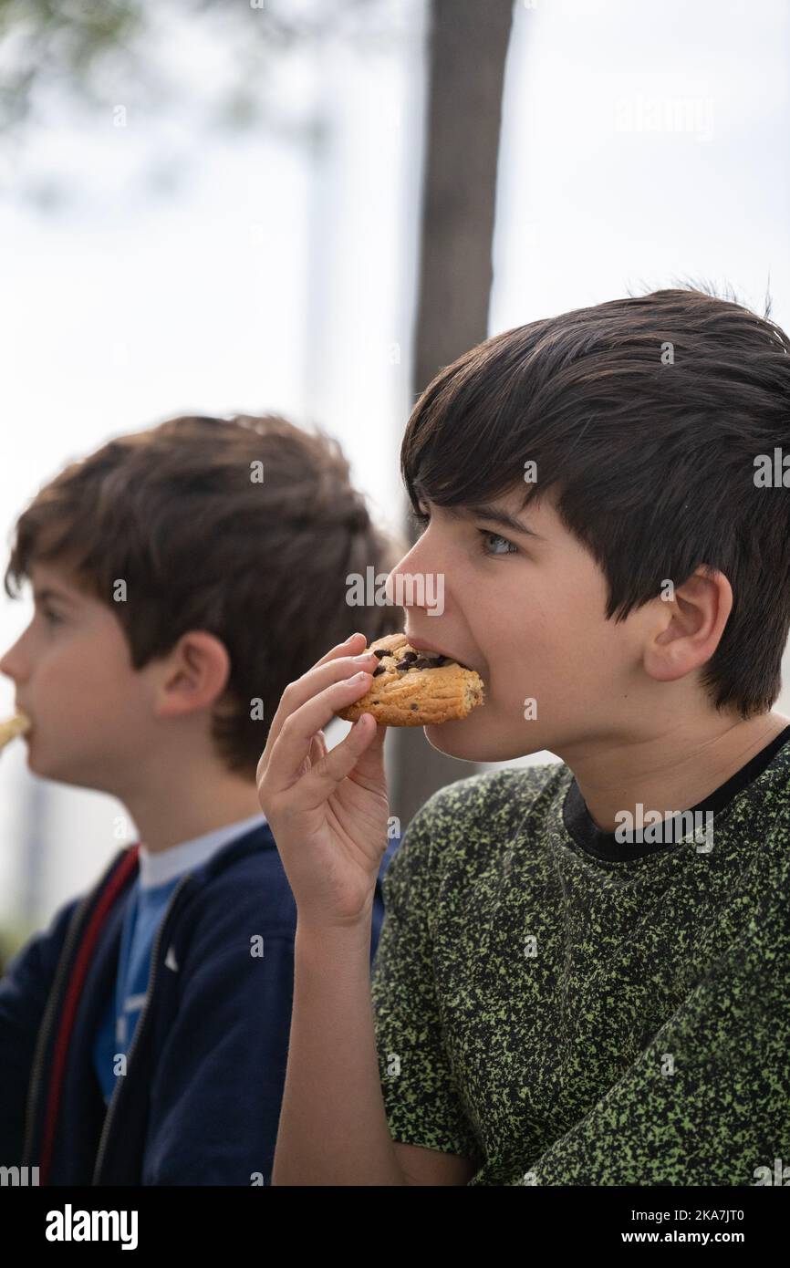 Close up portrait of boys sitting on a bench in park and eating a chocolate biscuit. side view Stock Photo