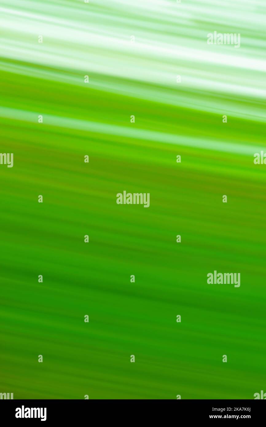 Zoomed abstract green background with radial radiating lines. Abstract