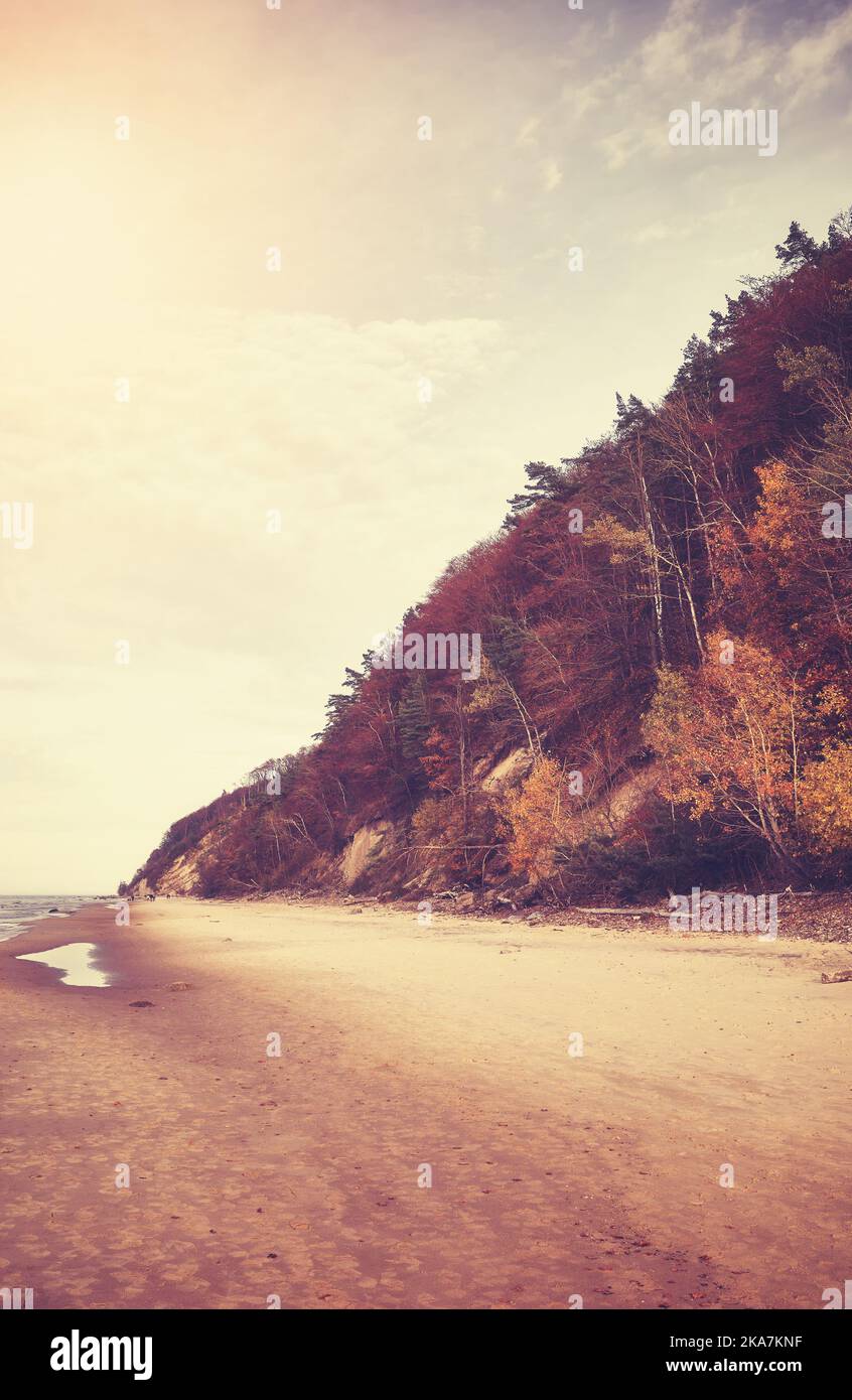 Baltic Sea wide sandy beach and autumnal cliff near Miedzyzdroje, color toning applied, Poland. Stock Photo