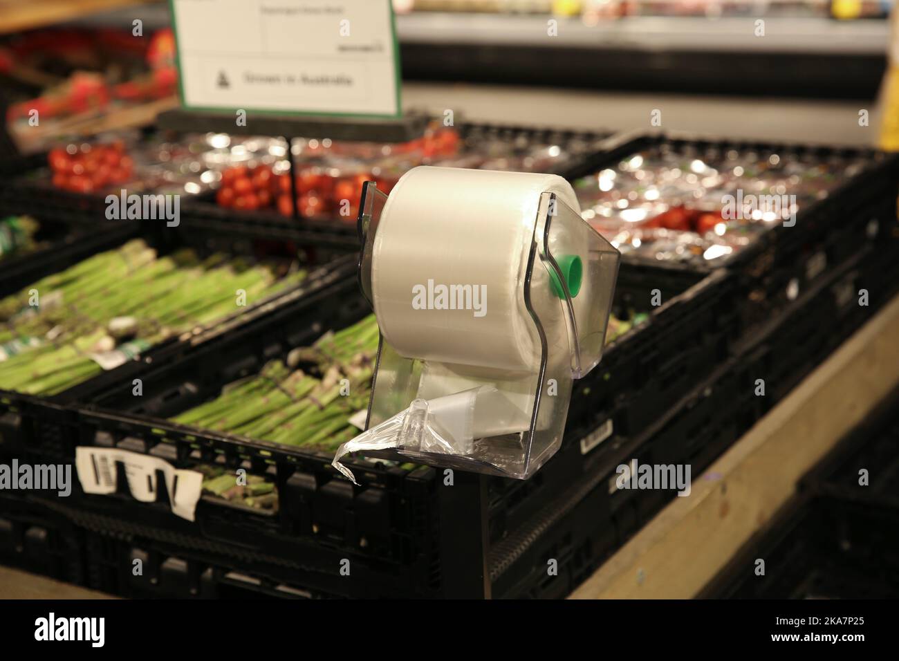 Sydney. 1st Nov, 2022. This photo taken on Nov. 1, 2022 shows single