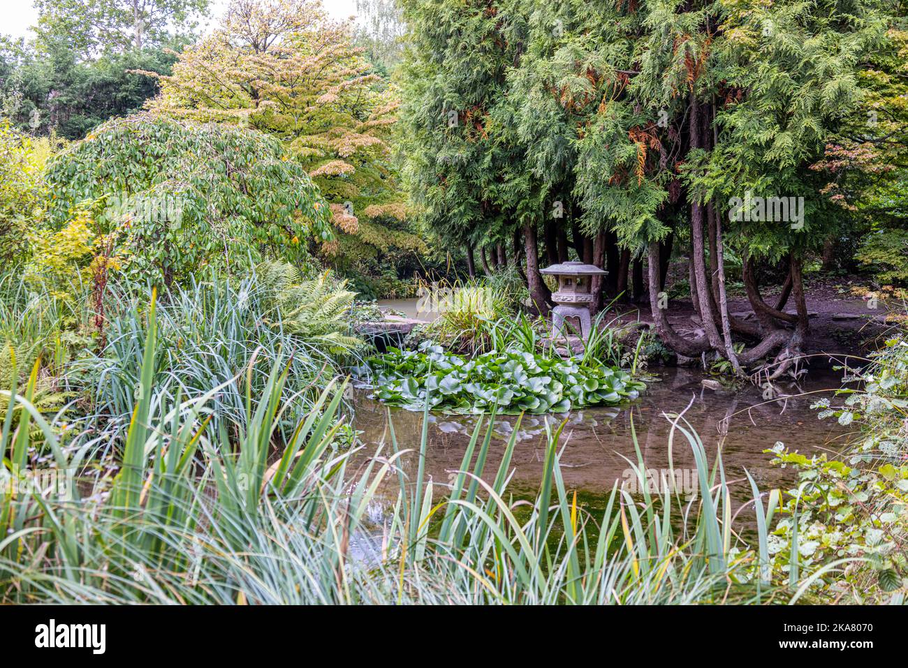 Japanese Garden, Newstead Abbey, Nottinghamshire, England, UK Stock Photo