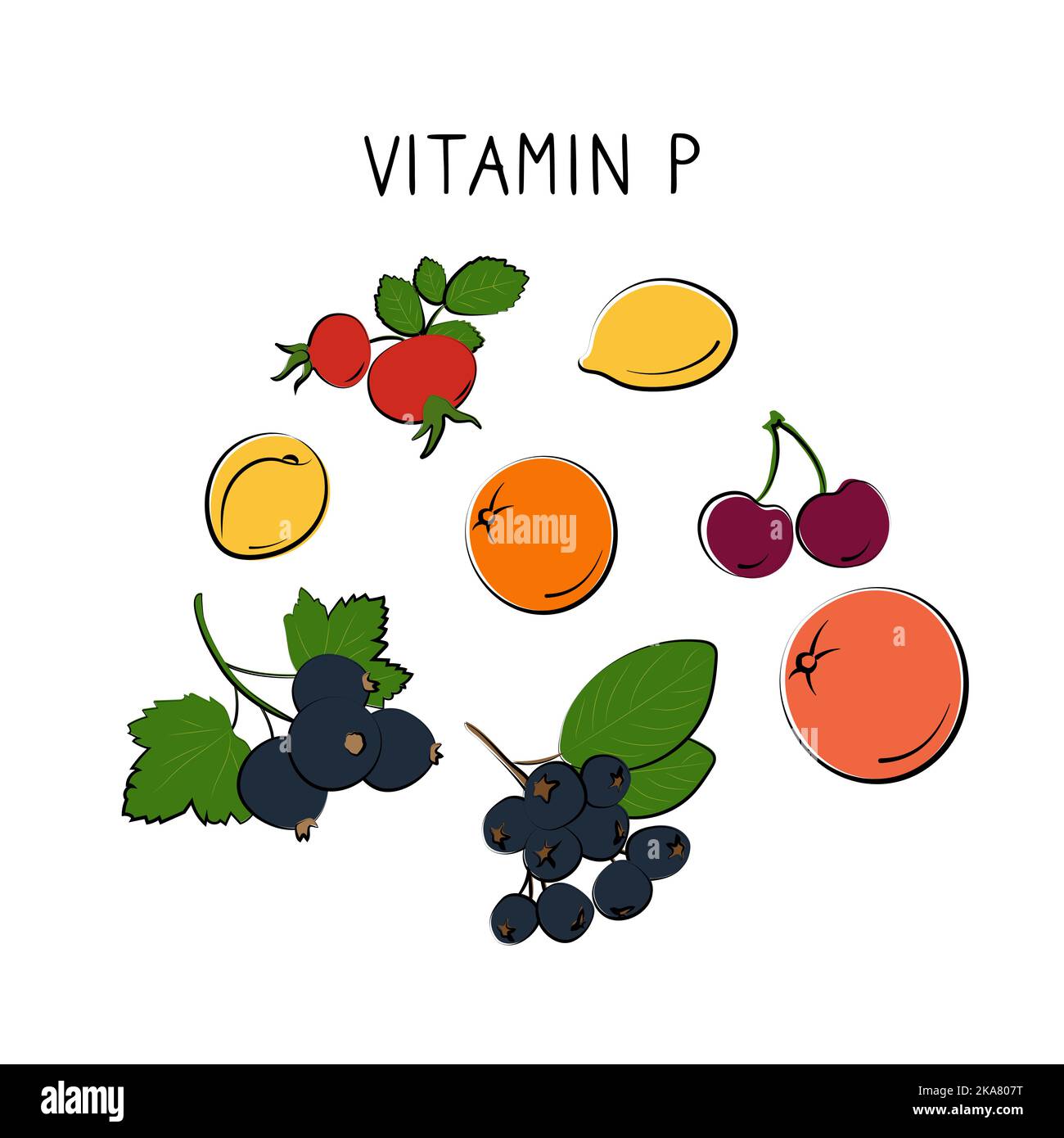 Bioflavonoids vector vectors hires stock photography and images Alamy