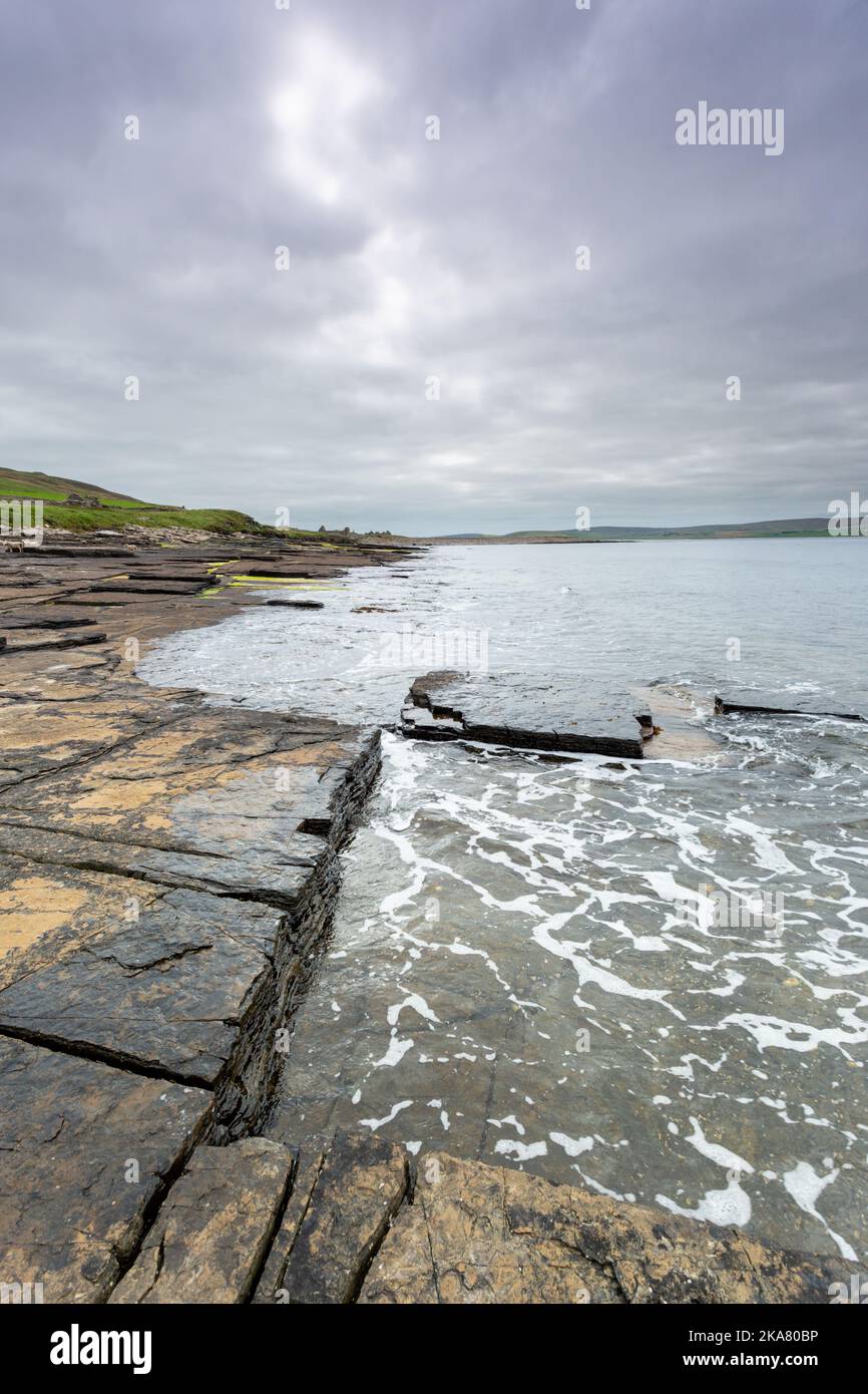 Geological rock formation and seaweed, Rousay, Orkney, UK 2022 Stock Photo