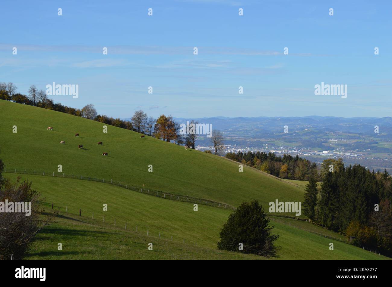 View from Hochkogel mountain to Amstetten in autumn, Farmland and industrial town, peaceful co-existence Stock Photo
