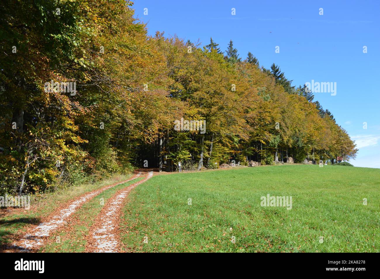 Sunny autumn day on Hochkogel mountain, indian summer in Lower Austria Stock Photo