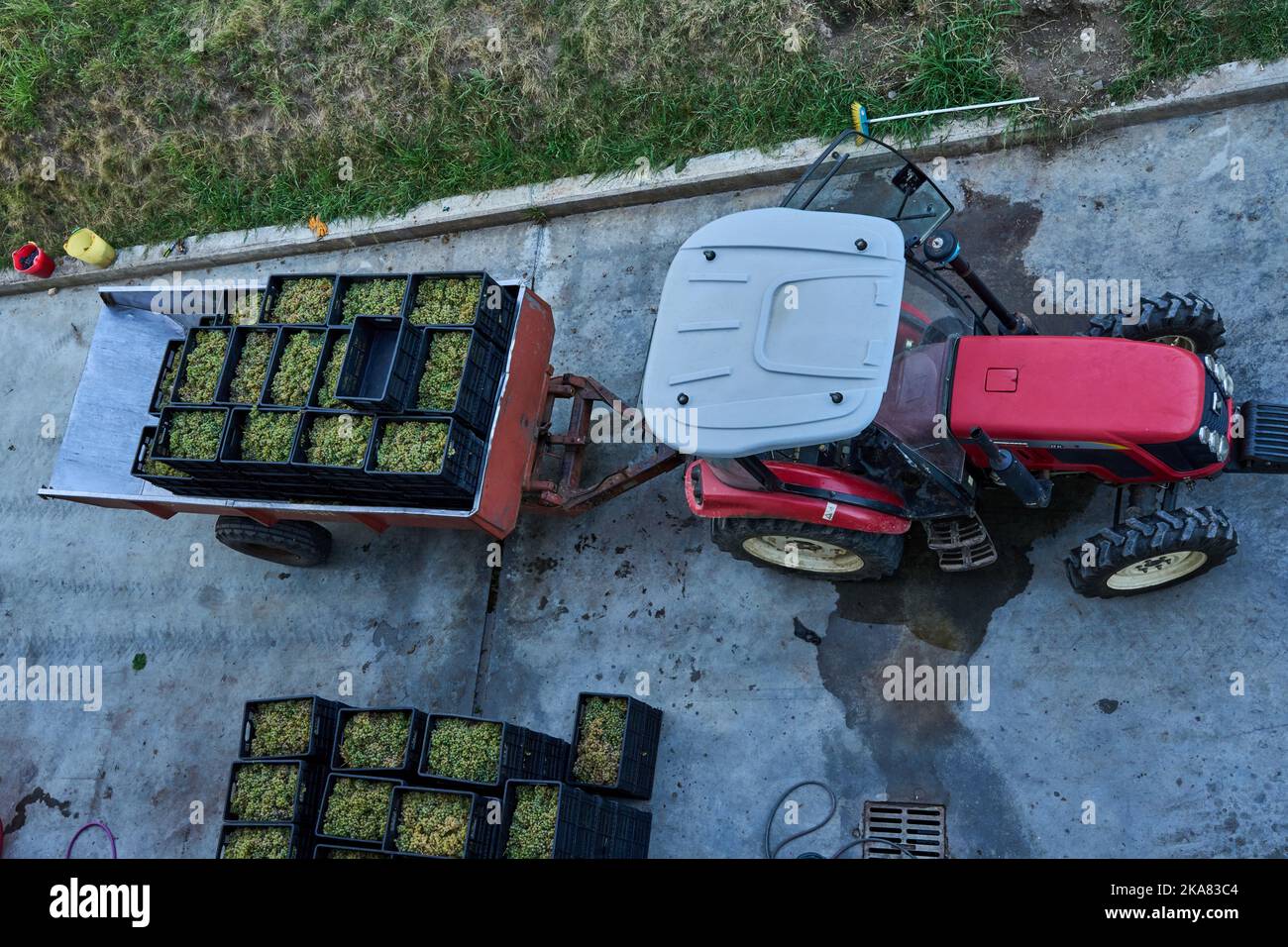Kleiner Traktor mit Anhänger und frisch geernteten Weintrauben, Weingut und Hotel Babaneuris Marani, Kachetien, Georgien Stock Photo