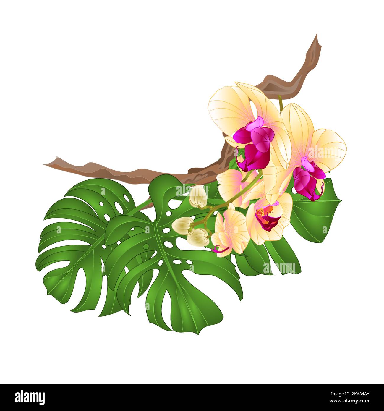 Bouquet with tropical flowers floral arrangement, with beautiful yellow ...