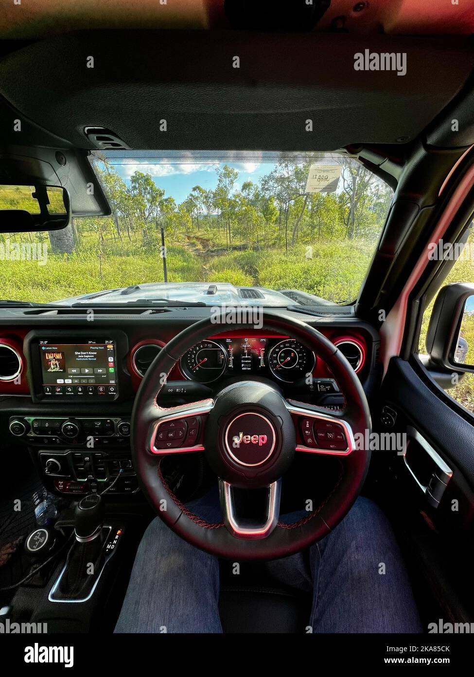 A vertical closeup of an interior of a Jeep car with its wheel and meter panel against palm trees Stock Photo