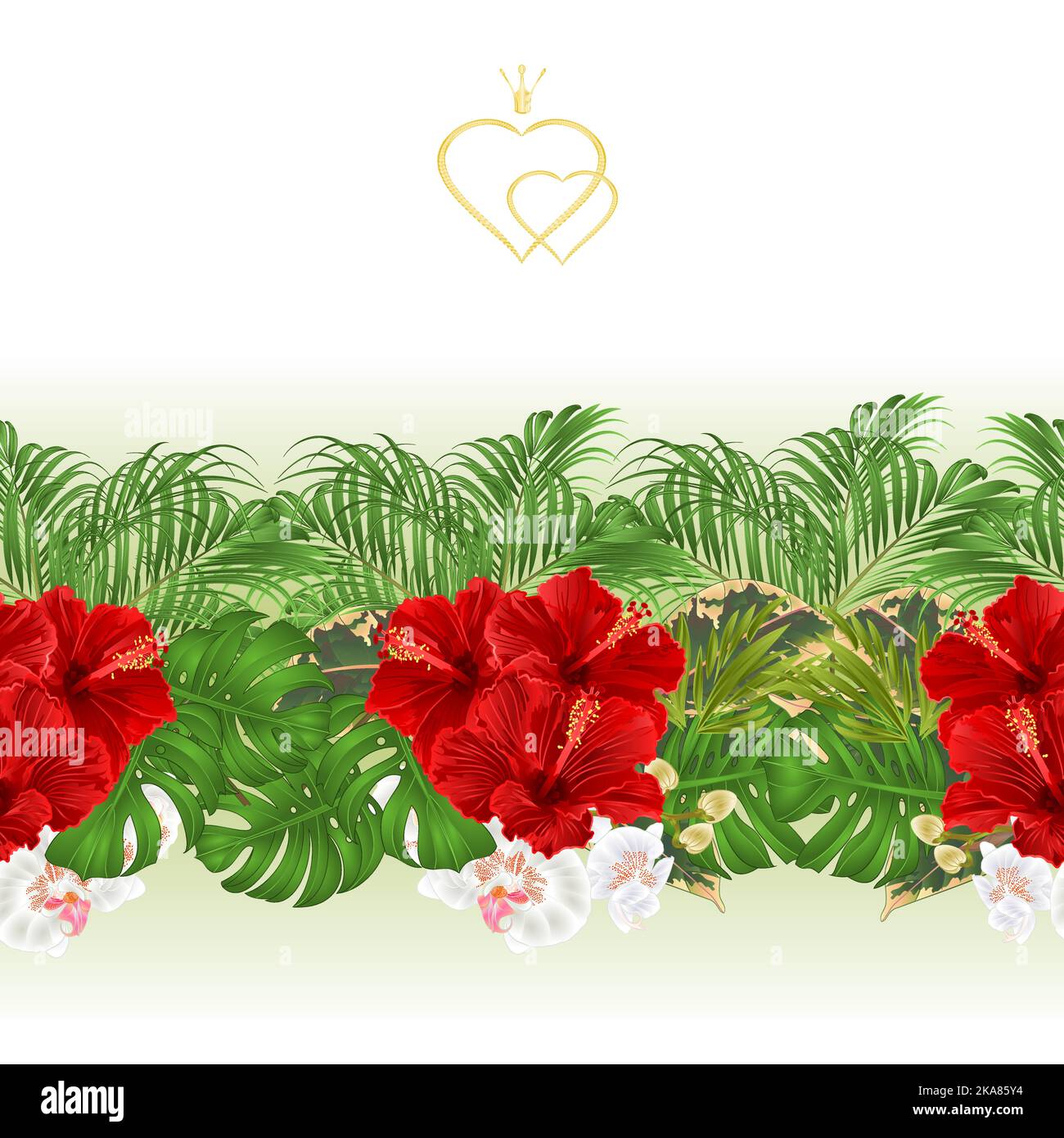 Floral border seamless background with blooming hibiscus and orchid and ...