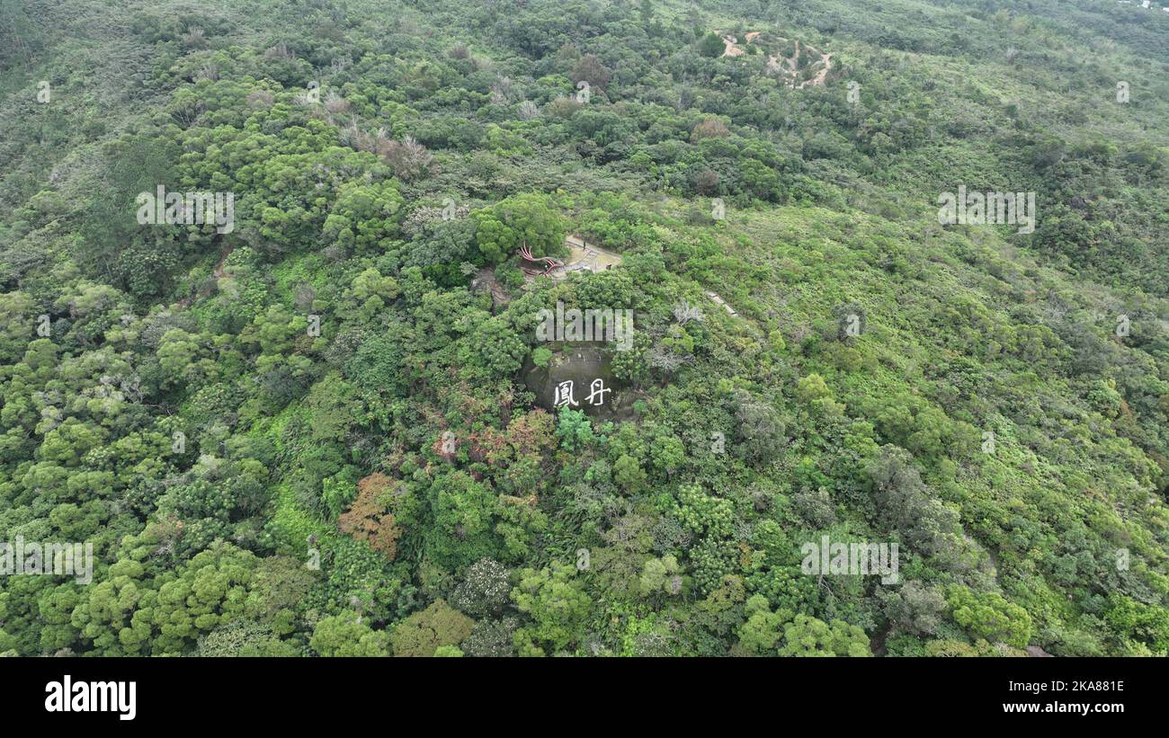 An aerial view of dense green trees Stock Photo - Alamy