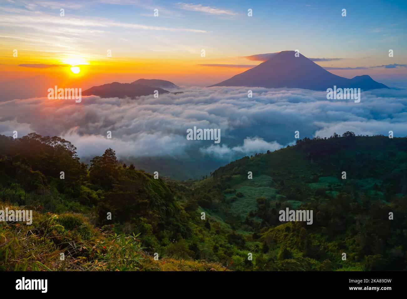 A golden sunrise mountain peak with a sea of clouds. Perfect for nature ...