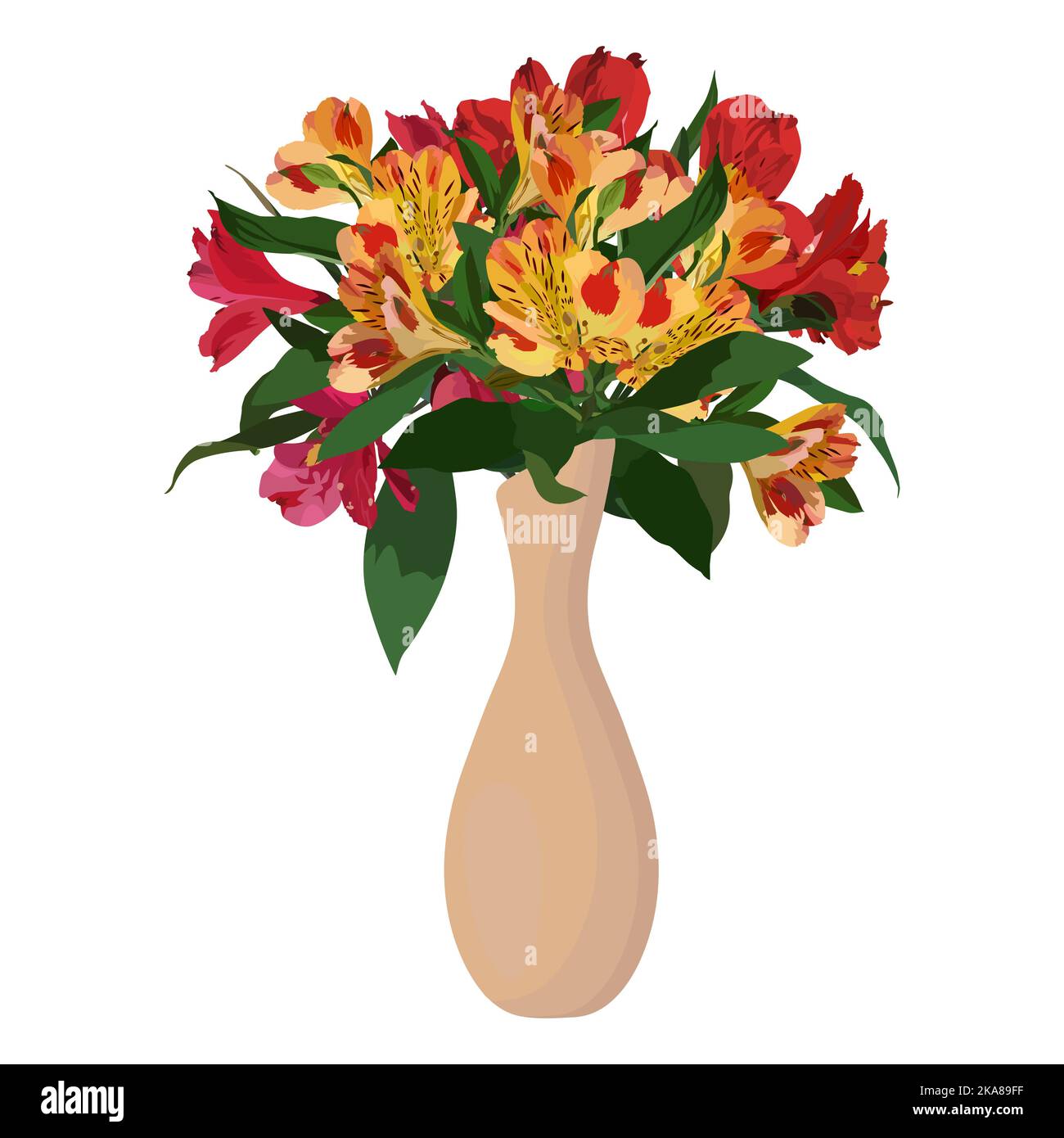 Alstroemeria tropical flower. Peruvian lily bouquet in vase, vector