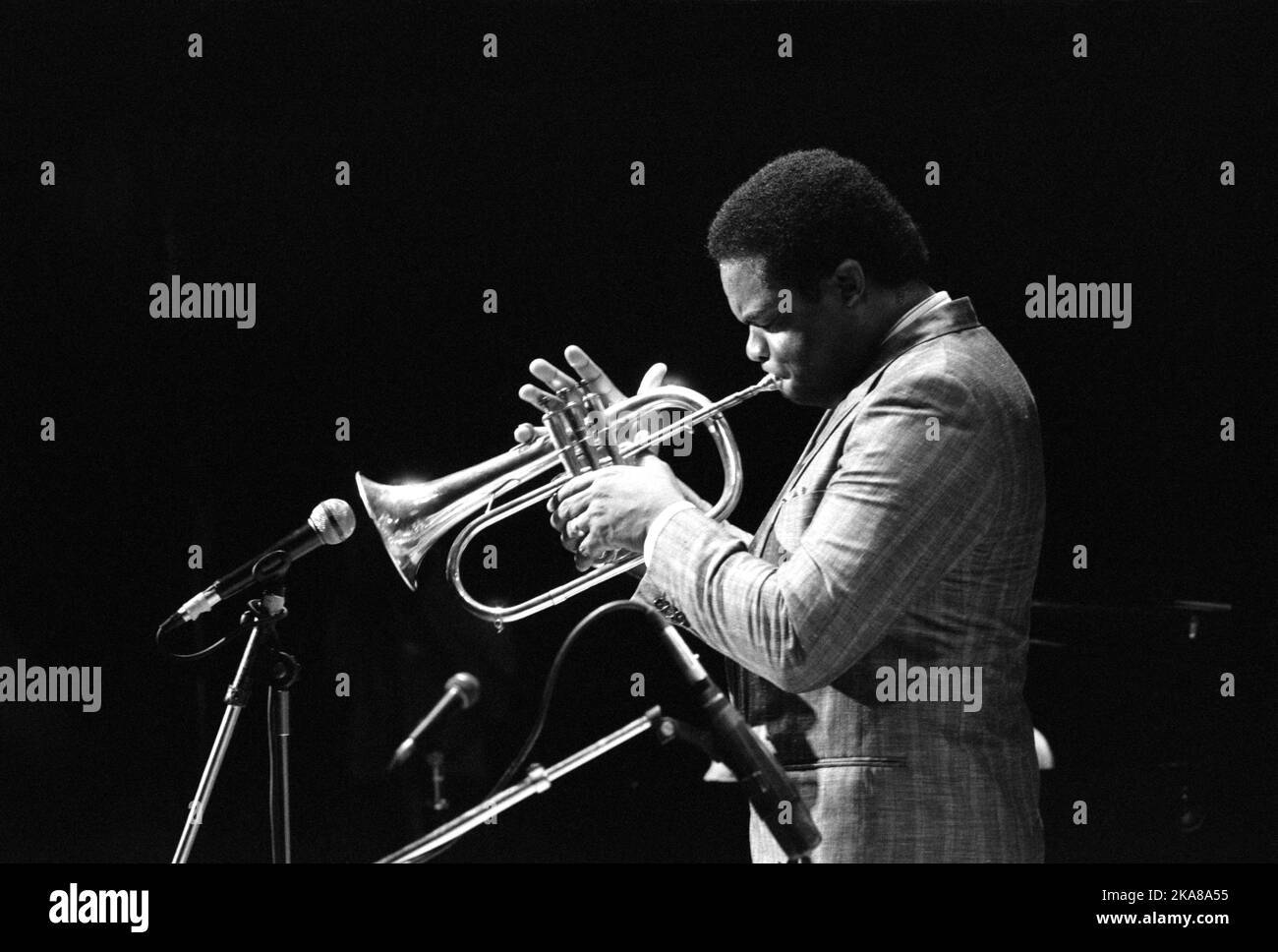 86-2554  FREDDIE HUBBARD,   17 July 1986  Royal Festival Hall, The South Bank Centre, London Stock Photo
