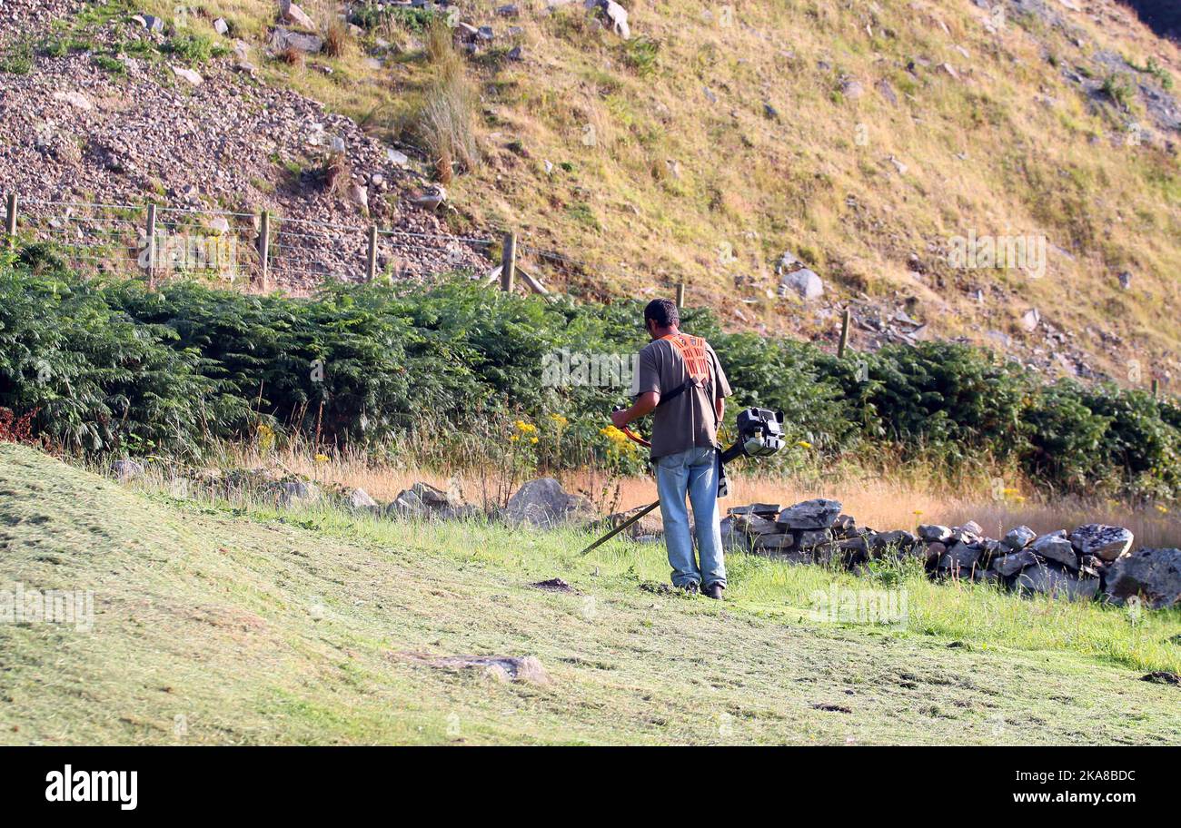 Man using a strimmer to cut the weeds or grass by a hillside. Stock Photo