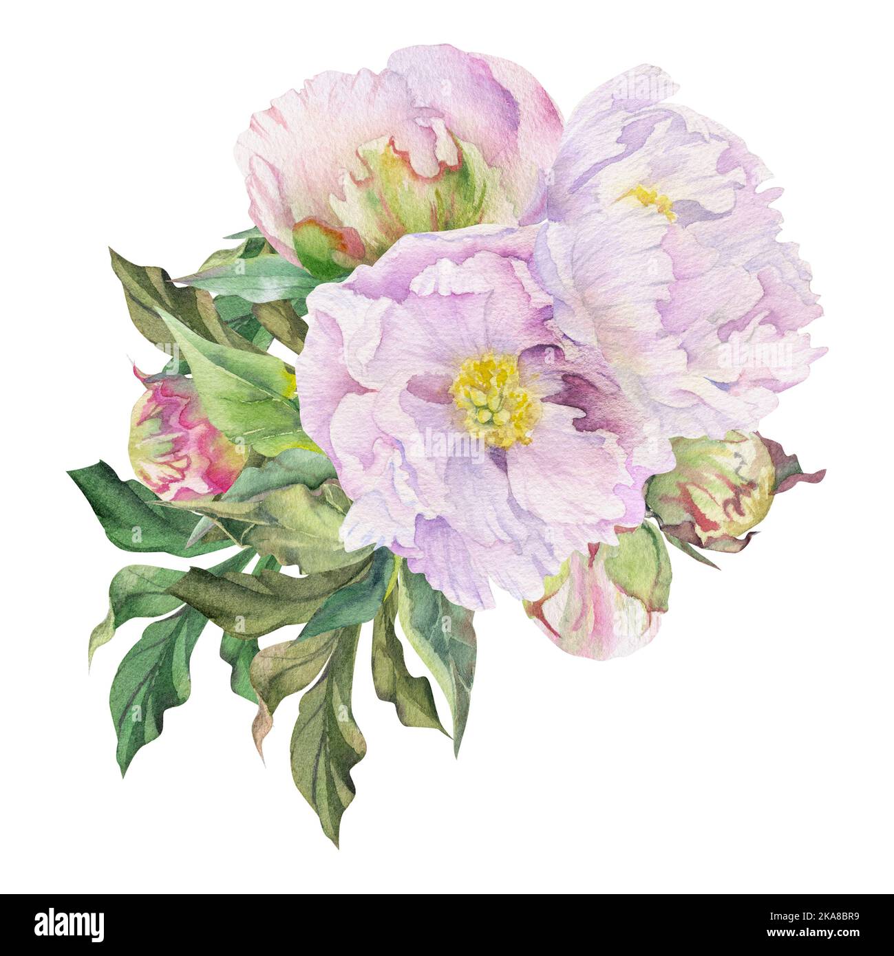Watercolor bouquet arrangement with hand drawn delicate pink peony ...