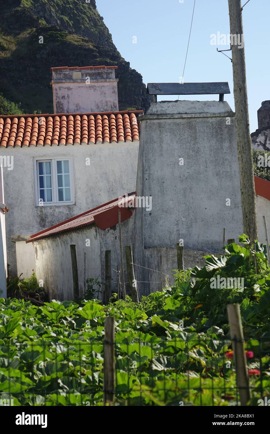 A beautiful shot of the traditional houses of Corvo island in bright