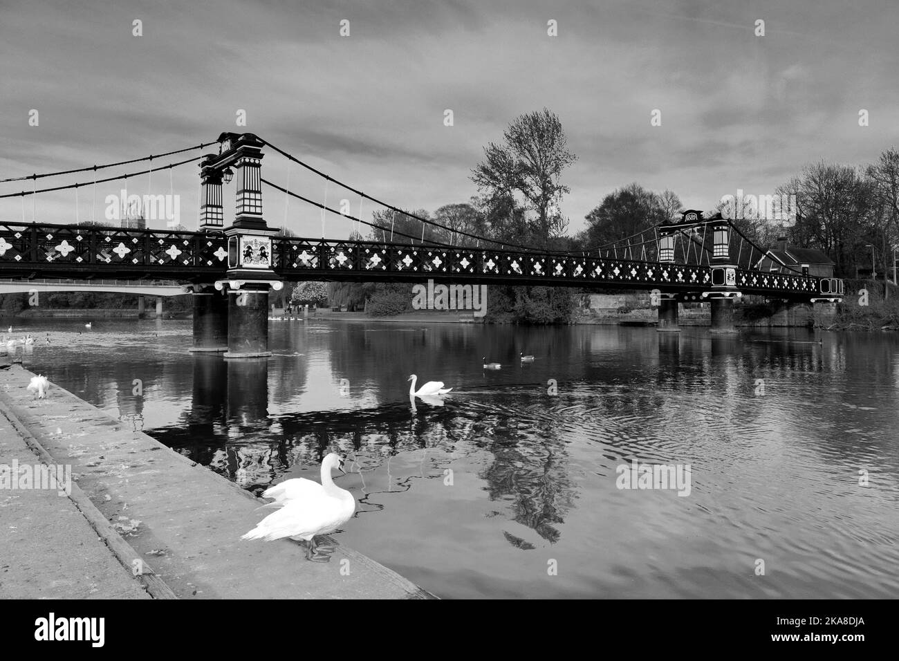 The Ferry bridge over the river Trent, Burton Upon Trent town, Staffordshire, England; UK Stock Photo