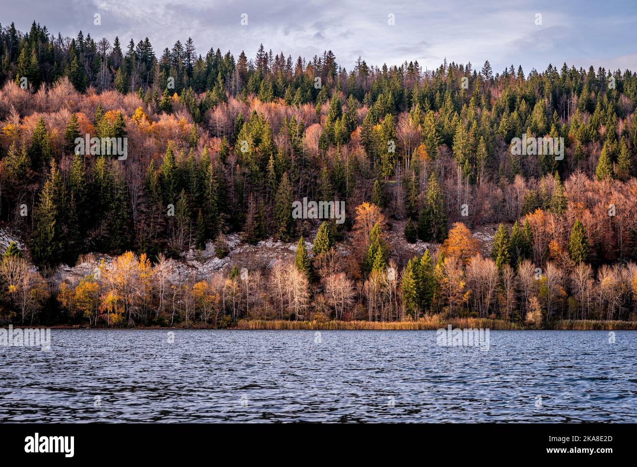 Landscape with mountain, lake and trees in autumn. Lac Brenet. Vallee de Joux, Vaud Canton, Switzerland Stock Photo