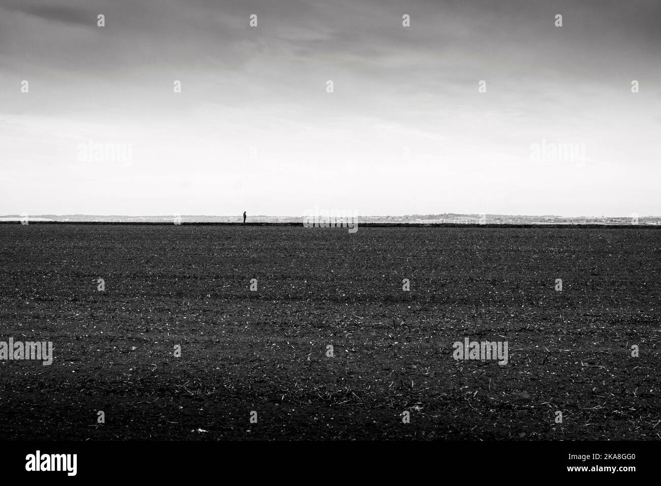 lone figure walking along path in Essex Stock Photo - Alamy