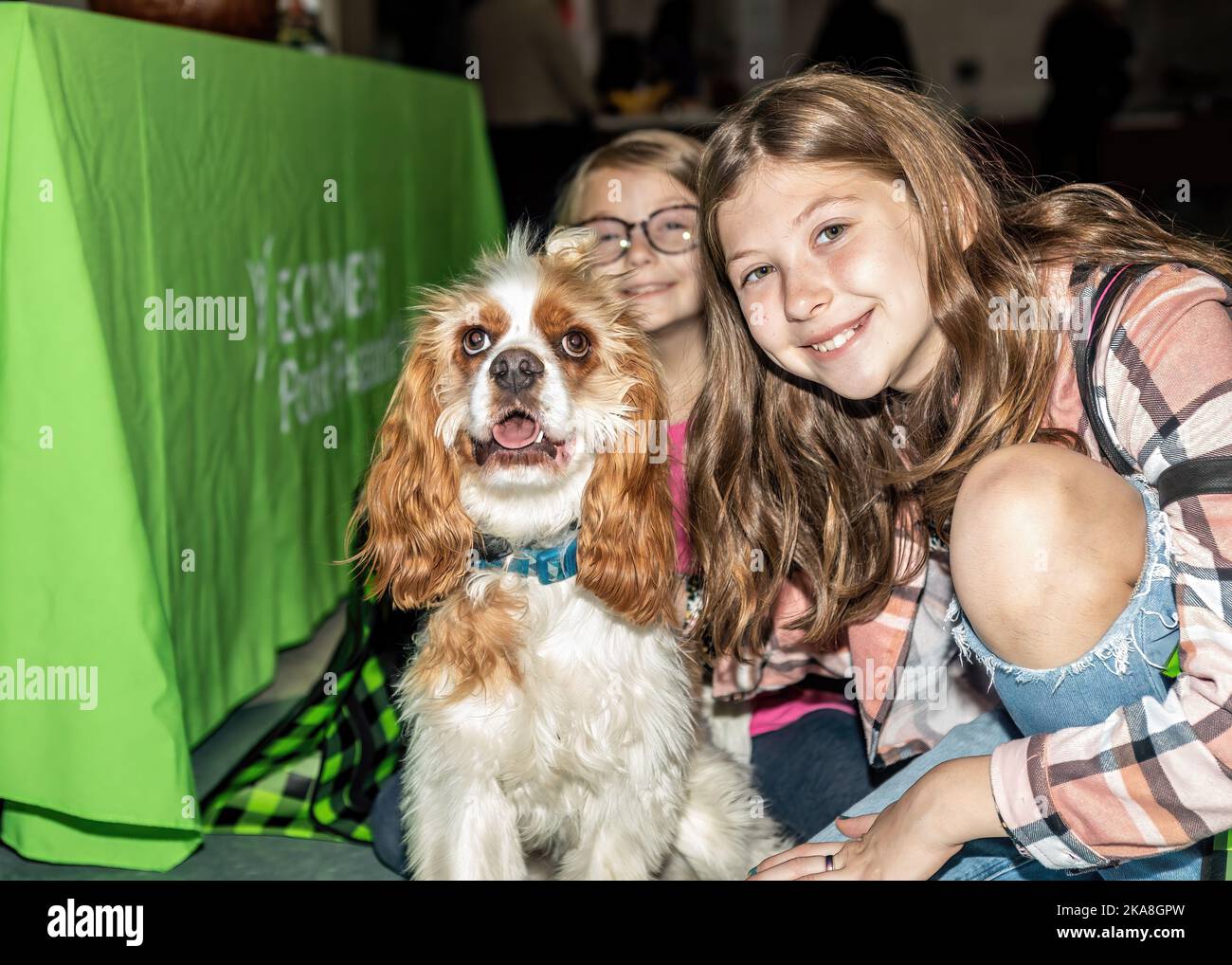 Two young girls and a service dog inside in Lindstrom, Minnesota USA. Stock Photo