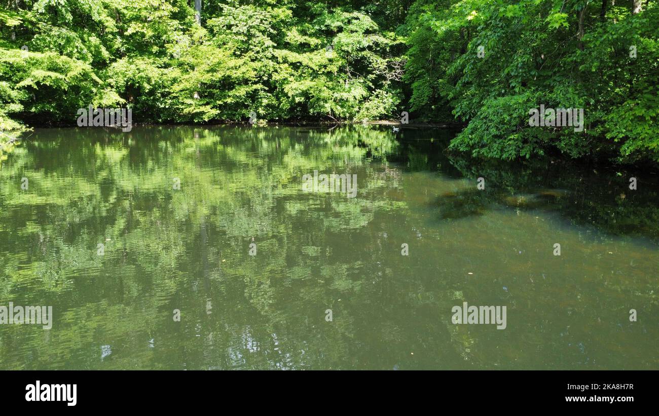 Beautiful shot pond reflecting hi-res stock photography and images - Alamy