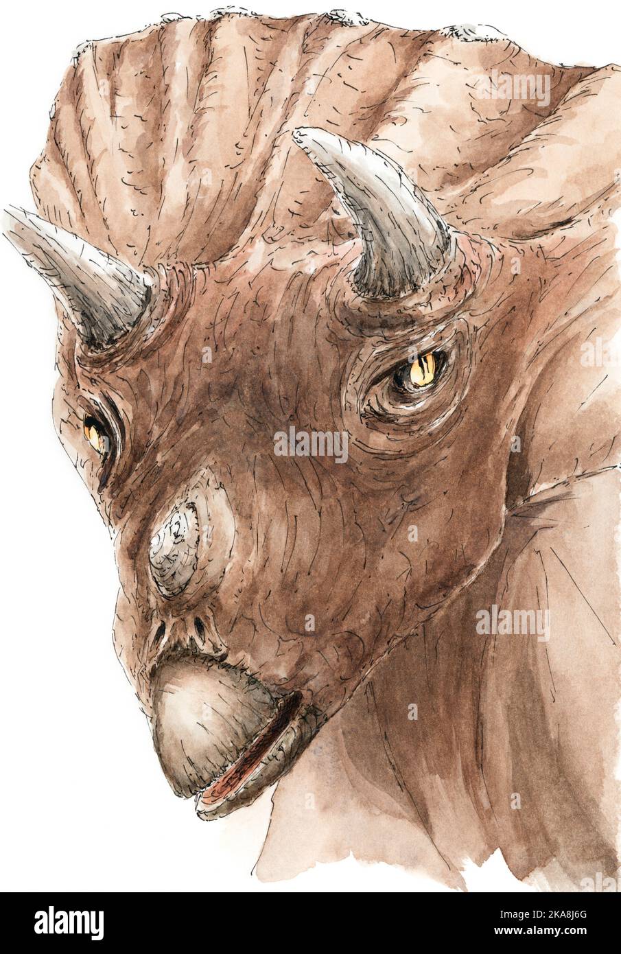 Triceratops portrait. Ink and watercolor on paper. Stock Photo