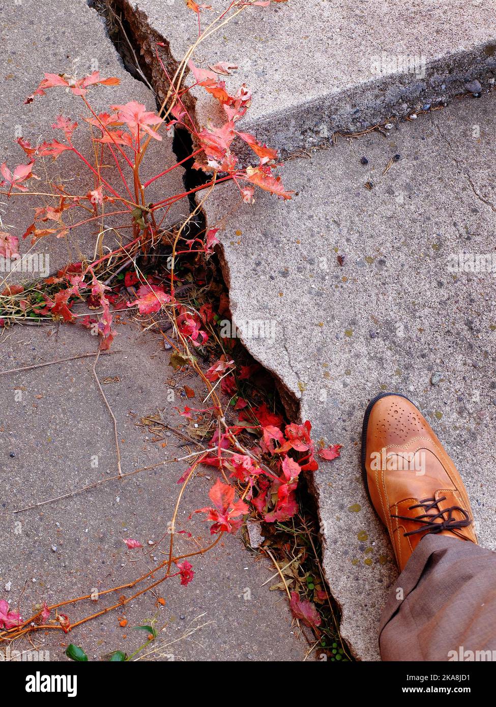 Detail of man walking on cracked and broken concrete sidewalk with fall