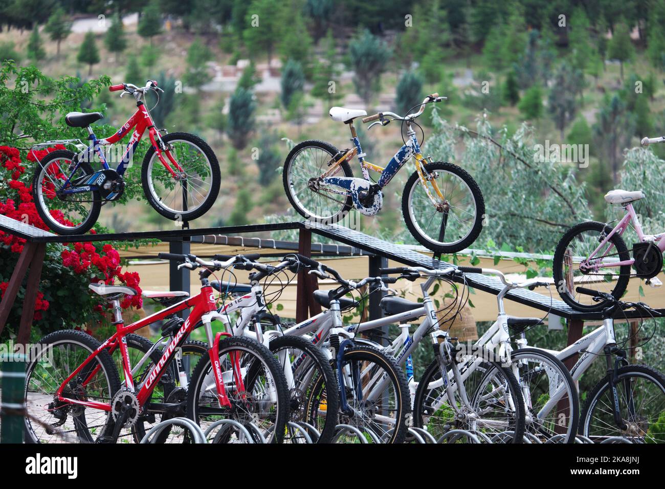 Wheels bike shop rhodes new arrivals