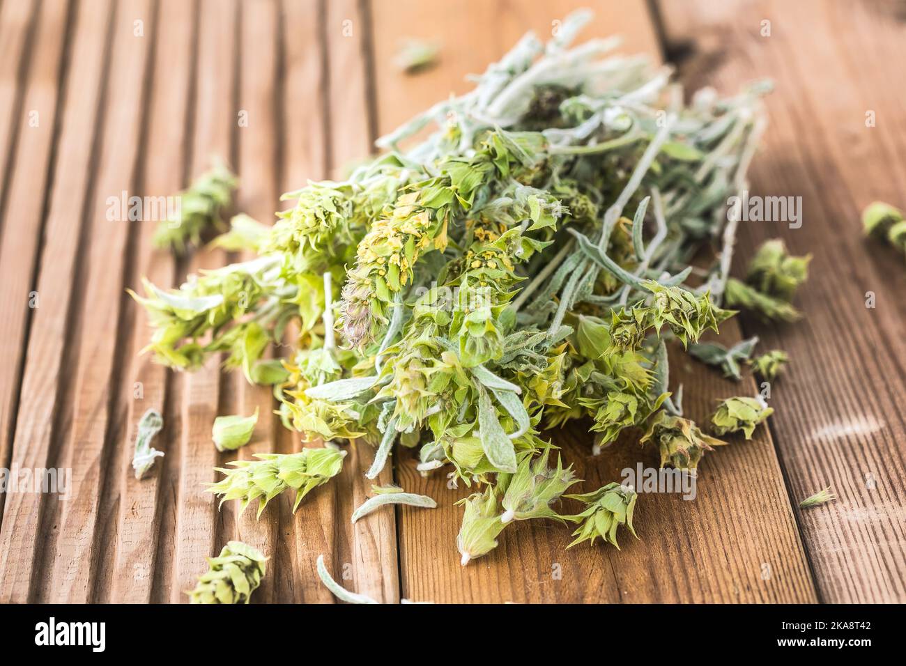 Bunch of dried green ironwort (Sideritis) twigs, also known as Mountain tea - traditional herbal tea in Greece Stock Photo