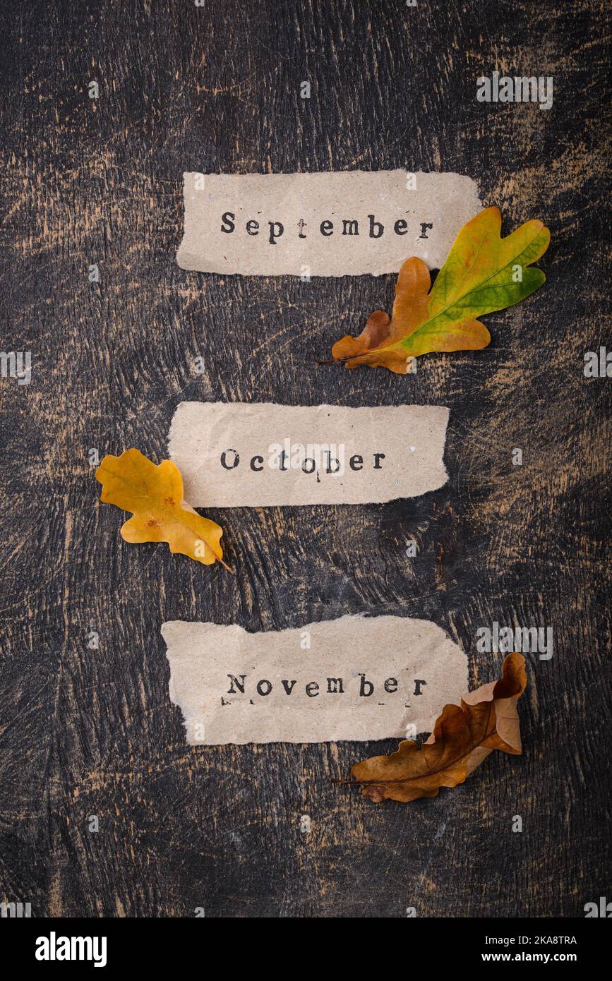 Autumn background with dry leaves Stock Photo - Alamy