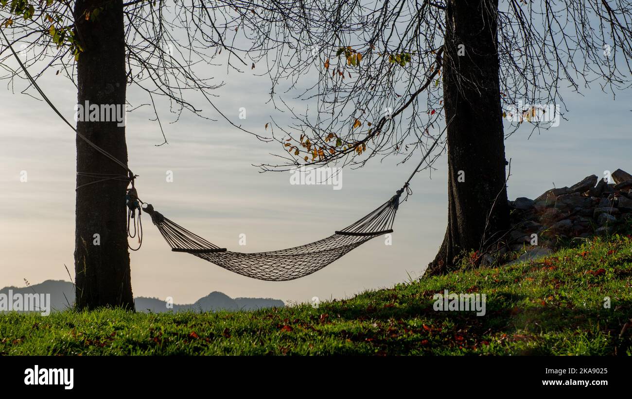 Hammock suspended between two trees at sunset Stock Photo Alamy