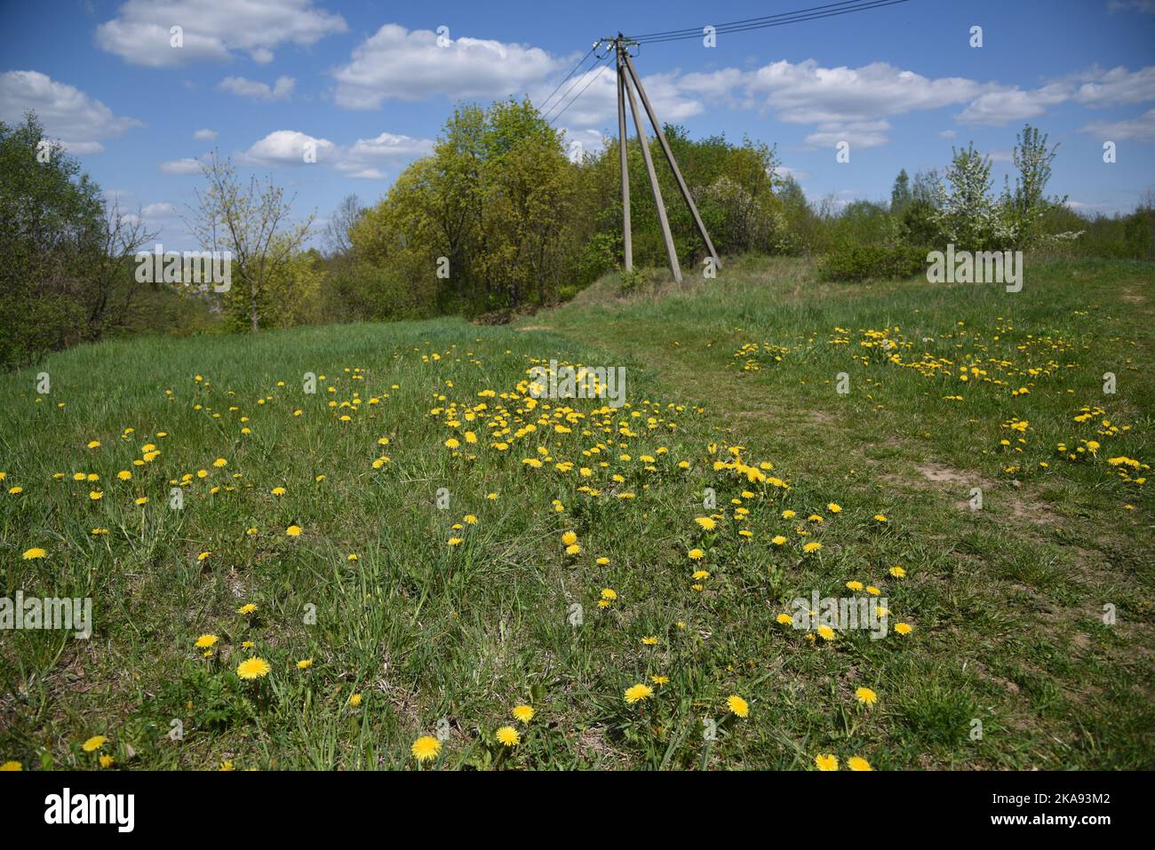 Overhead power line Stock Photo Alamy