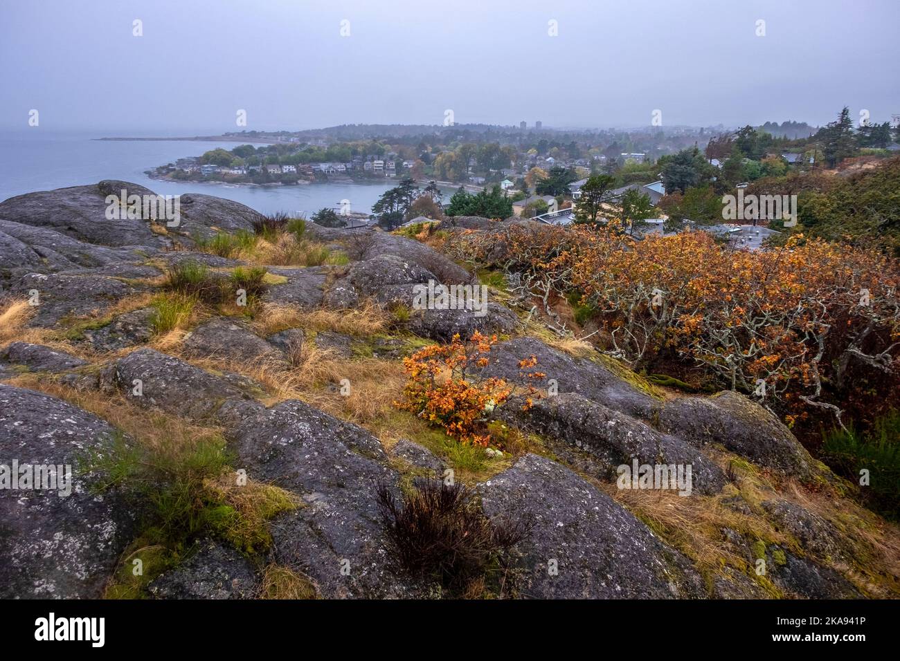 Rainy October weather, Walbran Park, Victoria, British Columbia, Canada