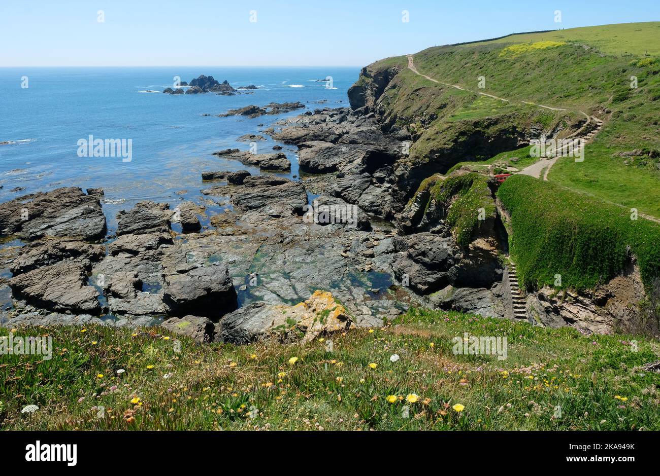 Cornwall Lizard Point The Cornish coast at the Lizard Point, Cornwall, UK - John Gollop Stock ...