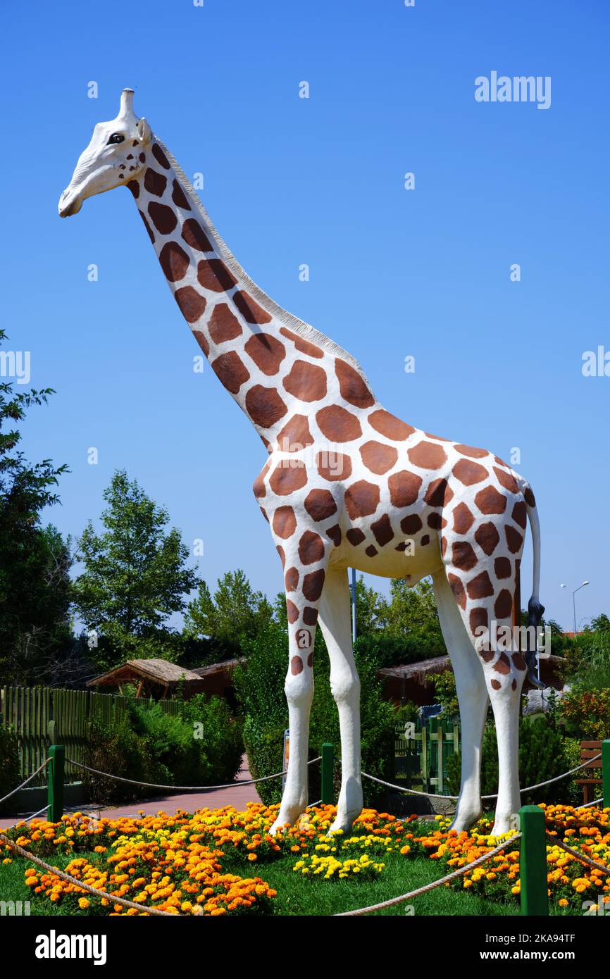 Large plastic best sale giraffe