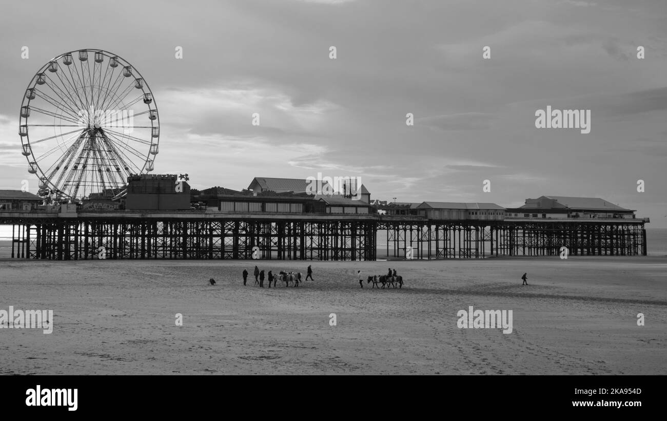 Blackpool central pier with big wheel towering over the donkeys Stock Photo