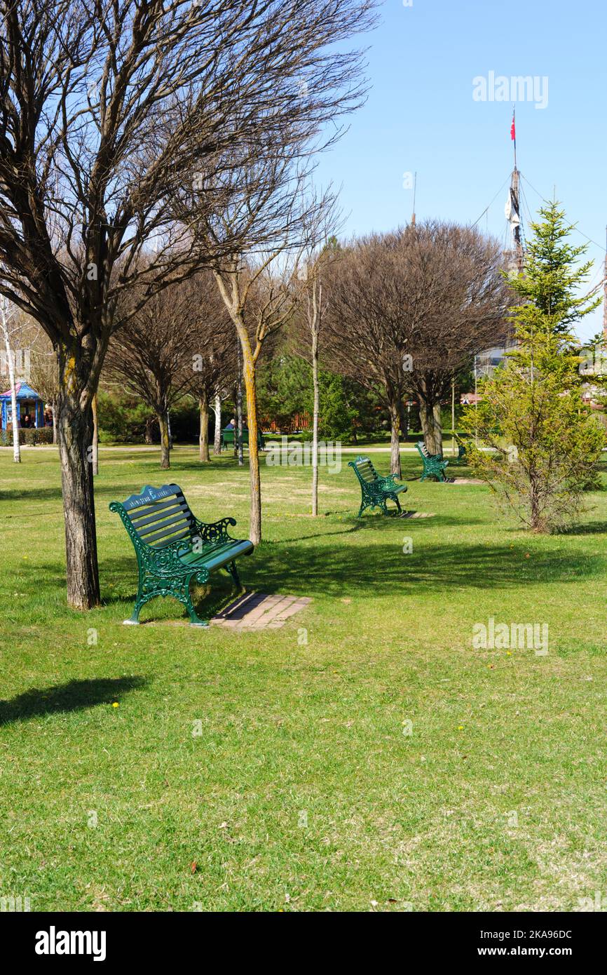 Green bench under tree in nature. Trees are blossoming in spring and clear blue sky at the back ground Stock Photo