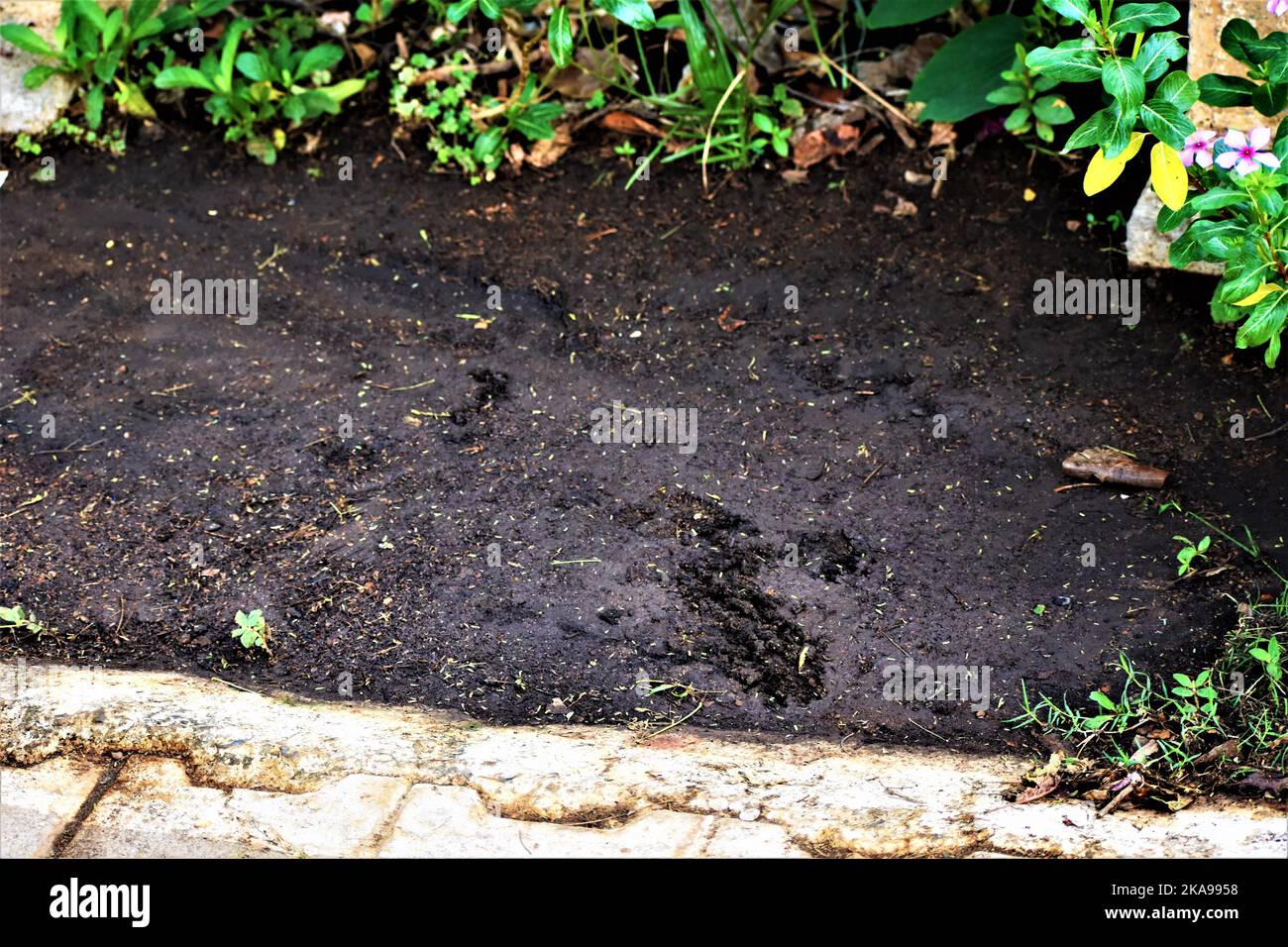 Wet soil garden hi-res stock photography and images - Alamy