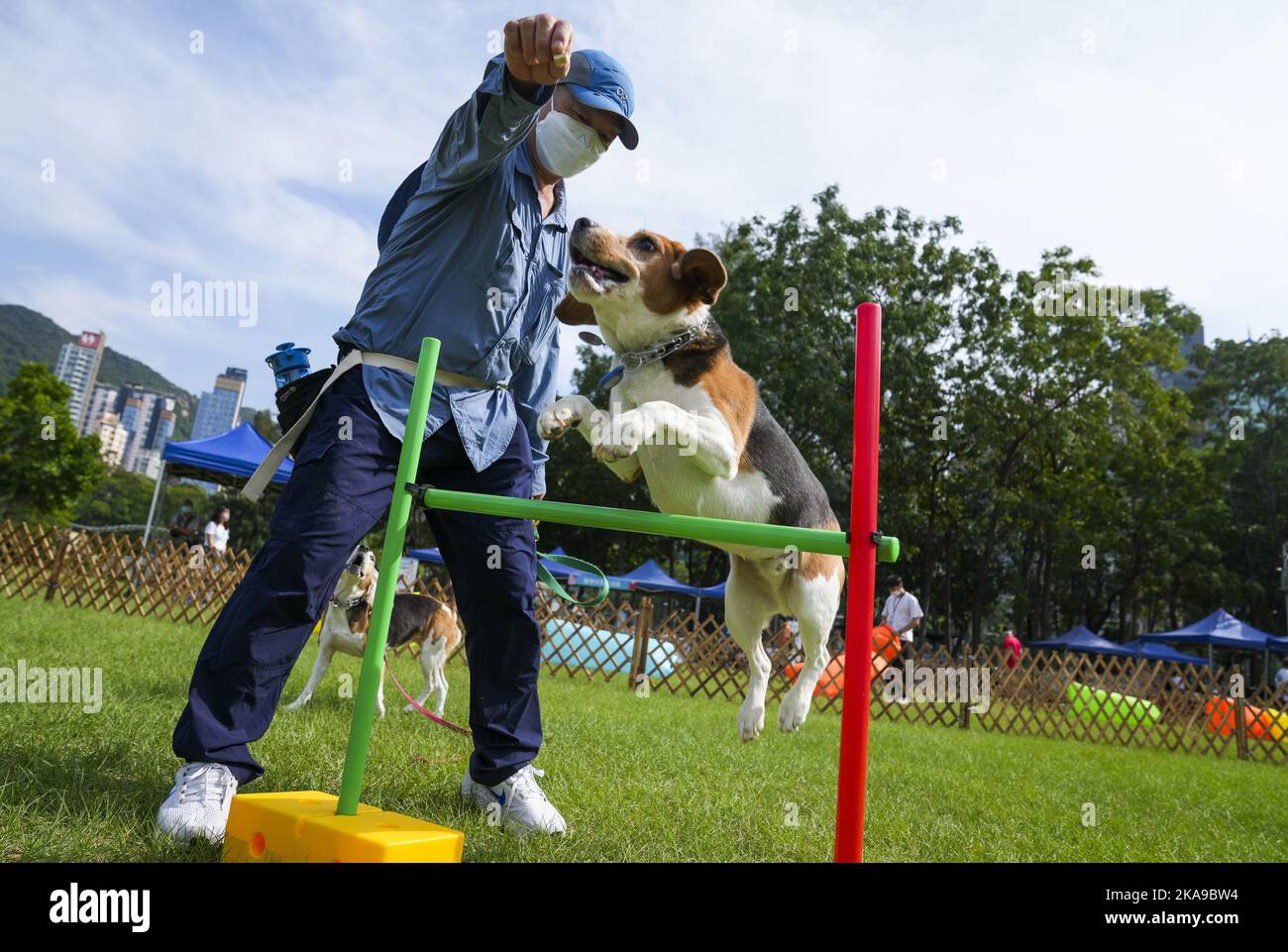Pet Carnival in Victoria Park, Causeway Bay. 30OCT22 SCMP / Sam Tsang