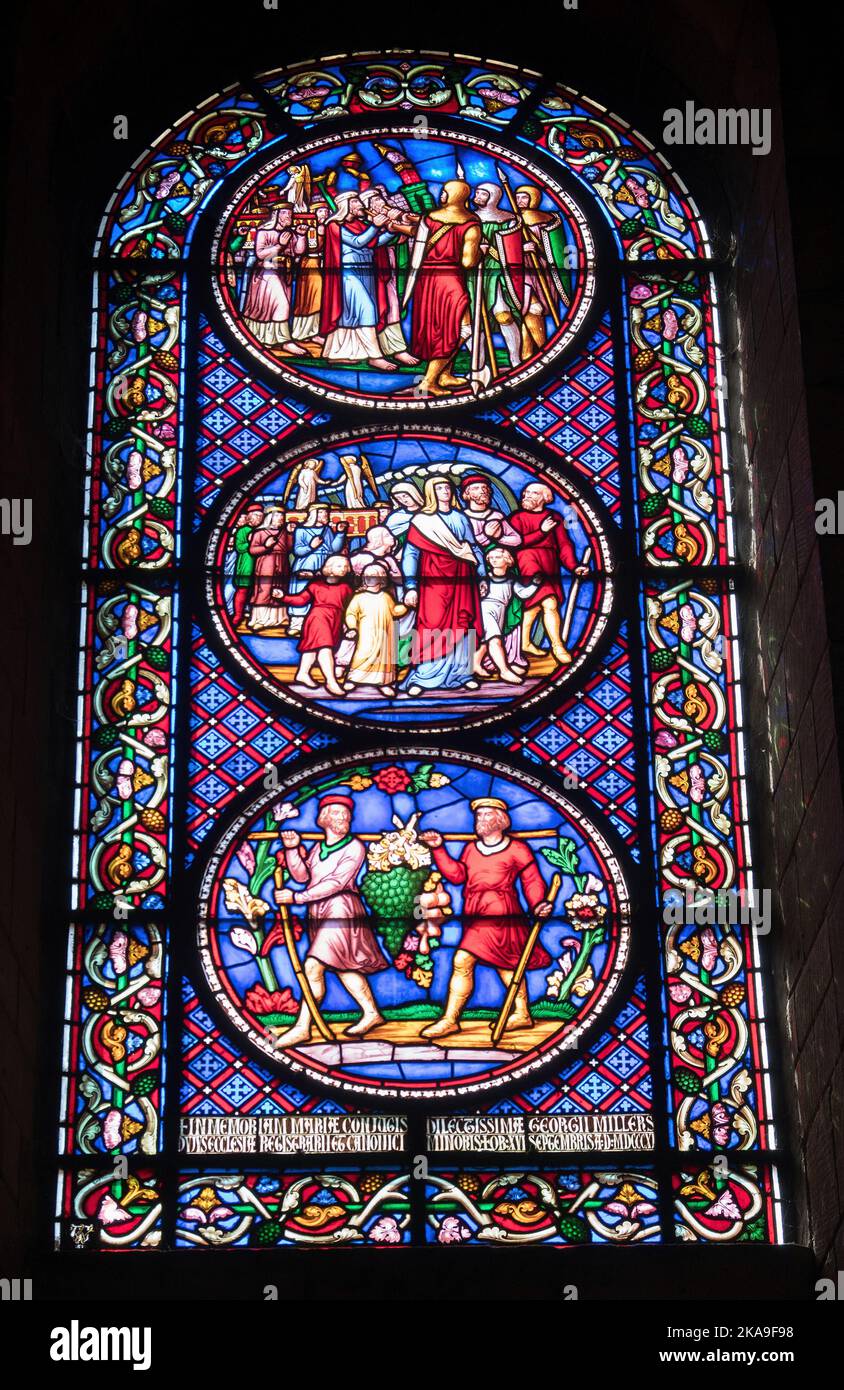 Stainedglass windows in Ely Cathedral, Cambridgeshire Stock Photo Alamy