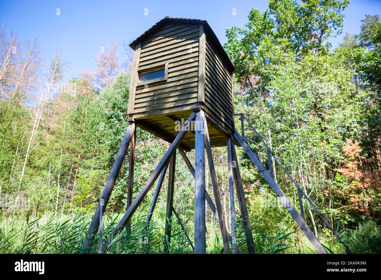 Hunting box stand in forest. Stock Photo