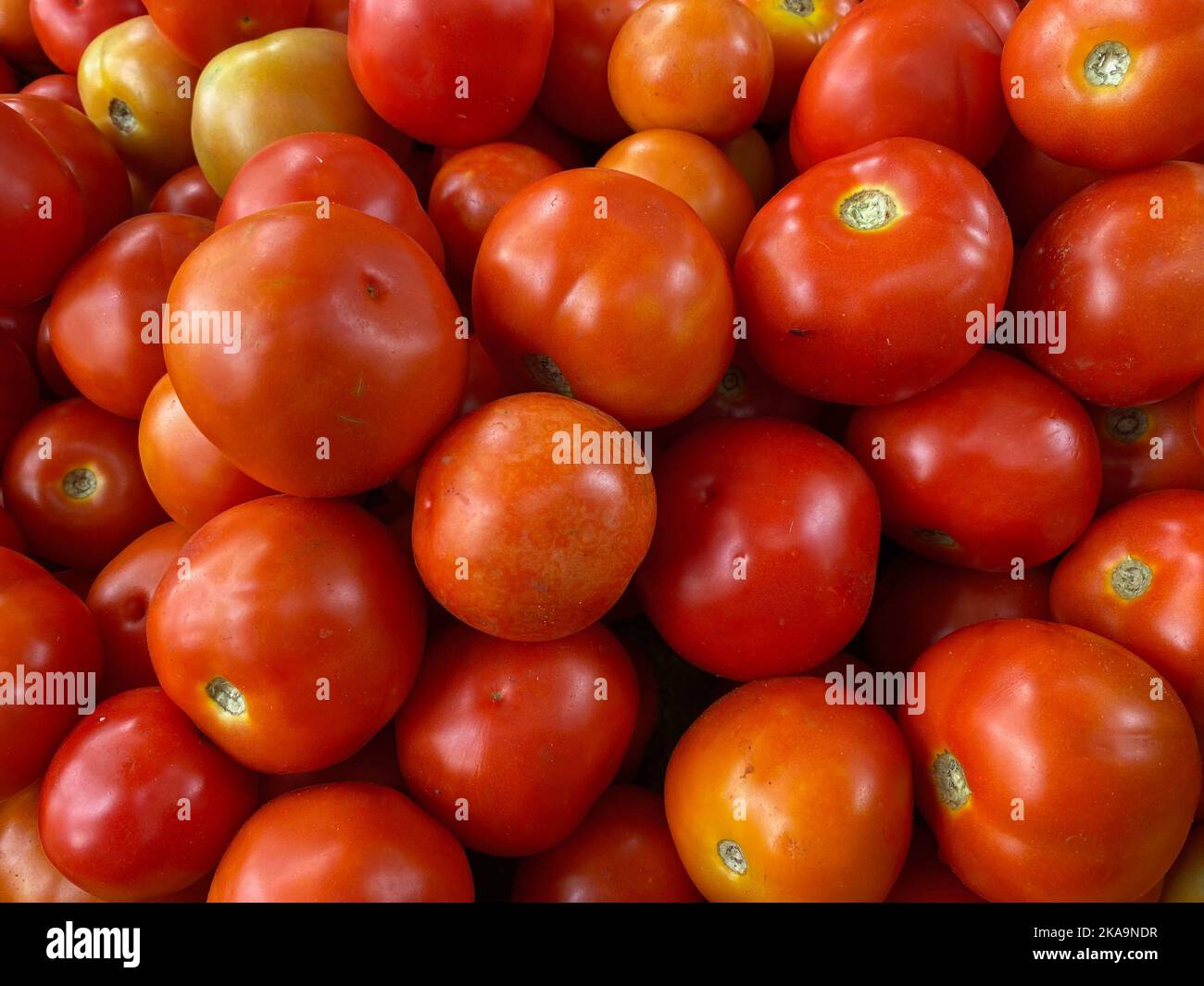 A view of a pile of tomatoes in a market Stock Photo - Alamy