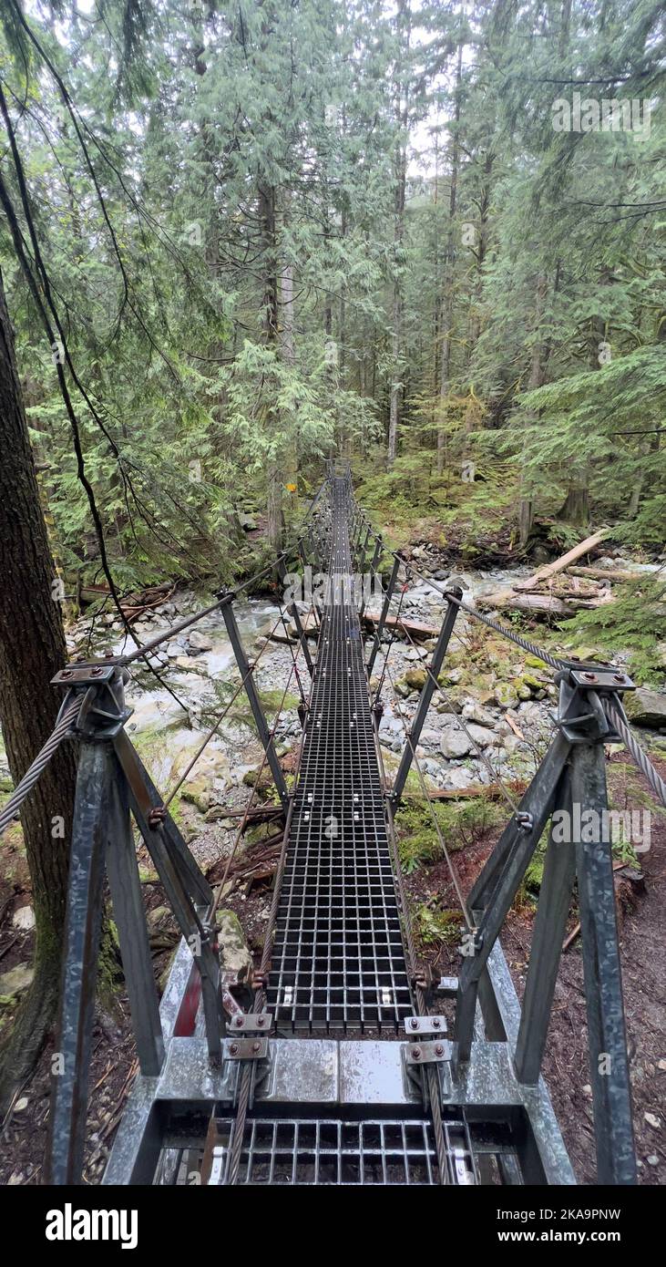 Mountain dense forest hi-res stock photography and images - Alamy