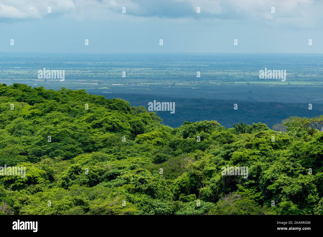 Aerial jungle landscape hi-res stock photography and images - Alamy