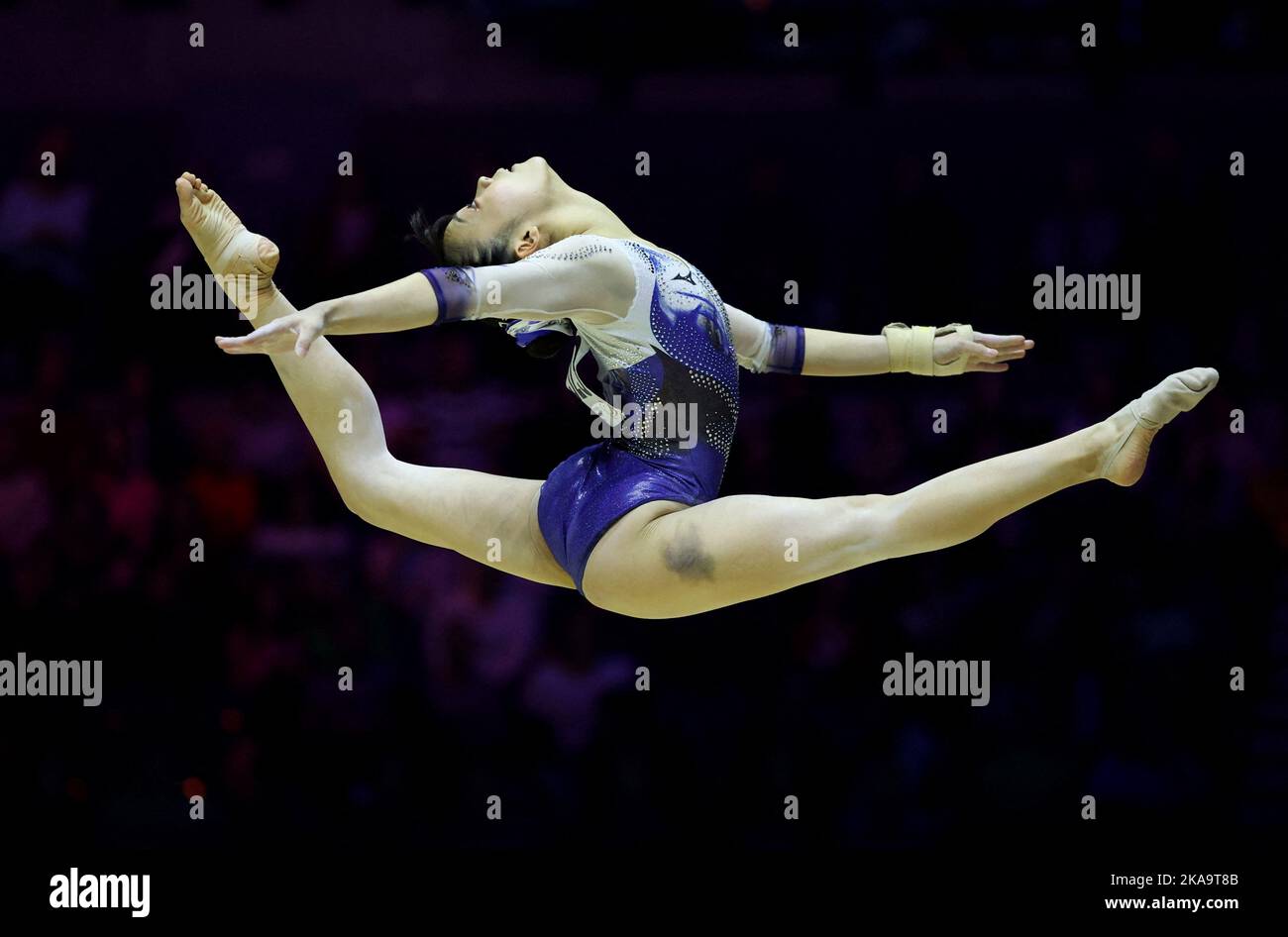 Artistic Gymnastics Artistic Gymnastics World Championships M&S